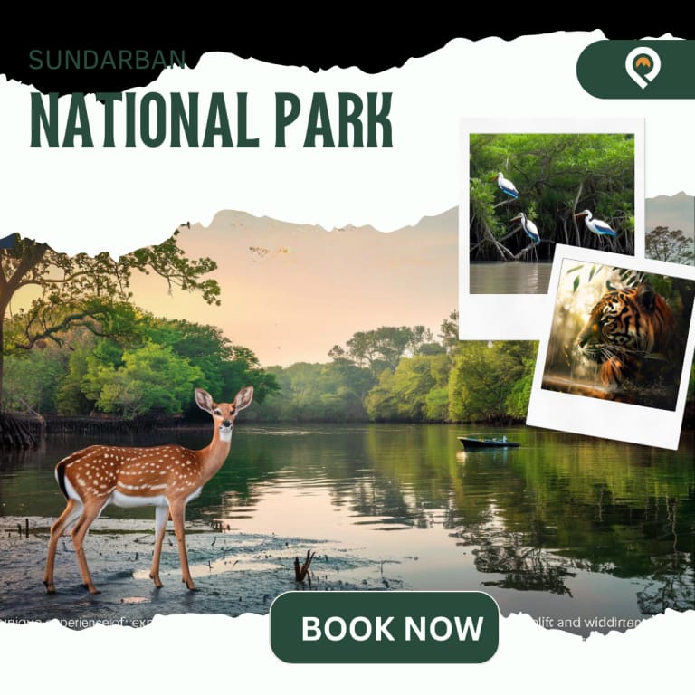 Experience the Real Sundarbans with Mainak Tourism